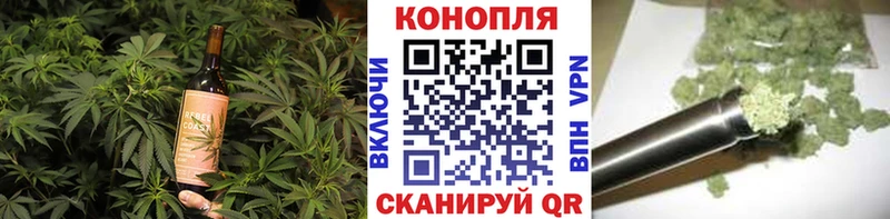 Купить закладки  Магас  Canna-Cookies конопля 