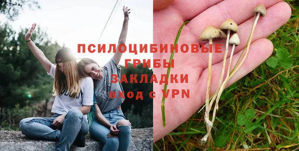 ПСИЛОЦИБИНОВЫЕ ГРИБЫ Красноперекопск