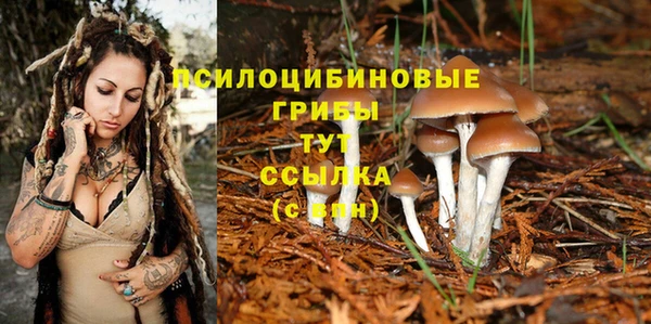 ПСИЛОЦИБИНОВЫЕ ГРИБЫ Красноперекопск