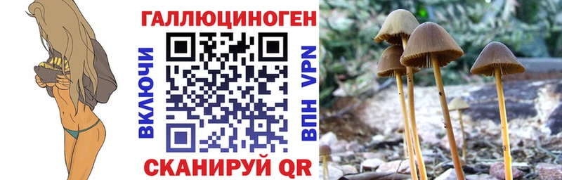 Псилоцибиновые грибы Magic Shrooms  Купить где  Магас 